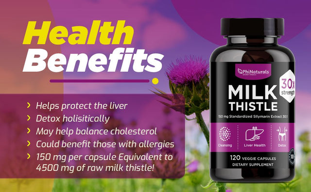 Milk Thistle Silymarin Supplement (Pack of 2) 30X Extract (Standardized 30:1) by Phi Naturals | 150 Mg per Capsule - 120 Capsules | Supports Liver Cleanse, Detox and More