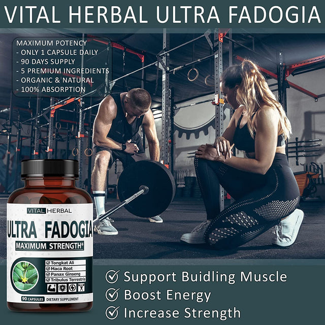 Ultra Fadogia Agrestis 10:1 Extract with Tongkat Ali Capsules - Equivalent to 9570 Mg - Maximum Strength with Ginseng Maca Root Tribulus - Boost Energy Muscle Buider (90 Count (Pack of 1))