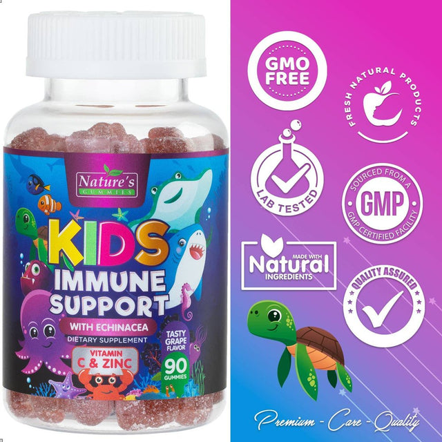 Kids Immune Support Gummies with Vitamin C, Zinc & Echinacea, Gluten Free & Non-Gmo Chewable Immune Support for Kids Gummy, Daily Childrens Immune Support Vitamins, Vegan, Berry Flavor - 90 Gummies