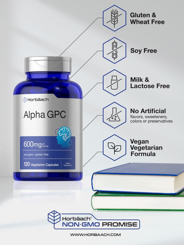 Alpha GPC 600Mg | 120 Capsules | Vegetarian Choline Supplement | by Horbaach