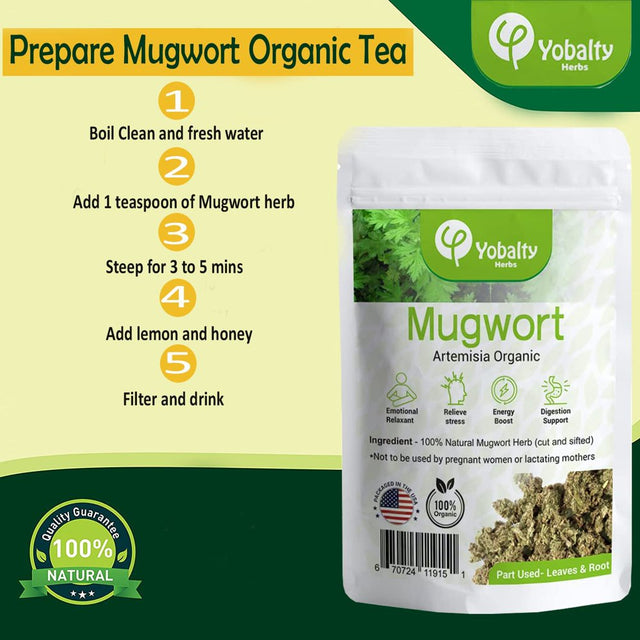 Mugwort Organic, 1 Oz, Lucid Dream Tea, Artemisia Vulgaris, Mugwort Dried Herbs, Herbal Leaves Tea, Mugwort Herb Loose Leaf, Improves Digestion, Helps to Sleep.