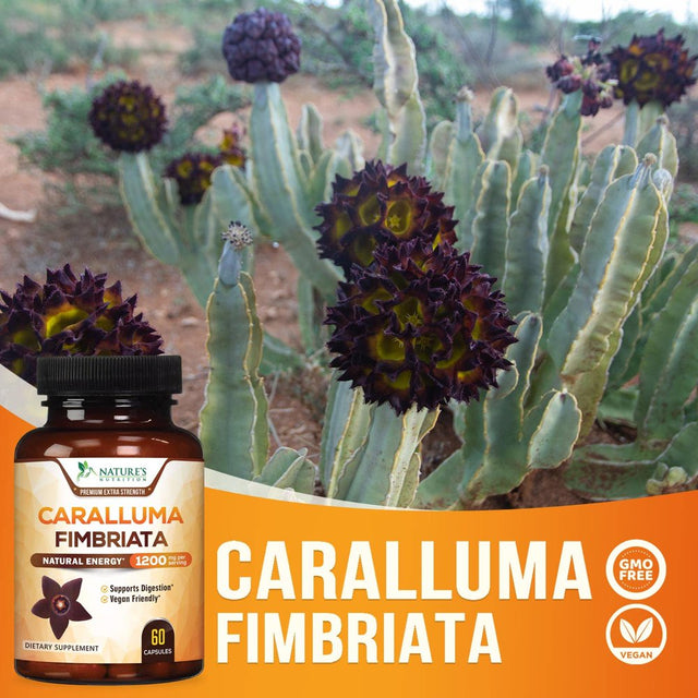 Pure Caralluma Fimbriata Extract Highly Concentrated 1200Mg - Natural Endurance Support, Best Vegan Supplement for Men & Women, Non-Gmo - 60 Capsules