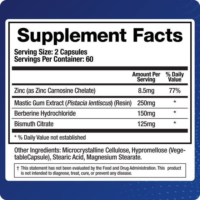 Biomatrix Pylori-X | Stomach and GI Support for H. Pylori Defense | Mastic Gum Berberine | Matula Tea Alternative (120 Caps)