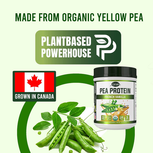 Flavored Pea Protein Powder - Organic Hydrolyzed Vegan All Natural Canada Grown Peas, Easy to Digest, Dairy Free, Gluten Free, Soy Free, Sugar Free, Non-Gmo with BCAA - French Vanilla