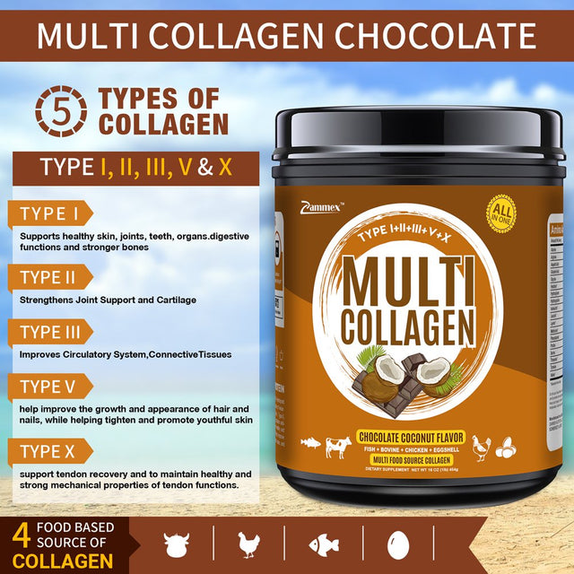 Zammex Multi Collagen Peptides Powder 16Oz, Hydrolyzed Collagen Protein Types I,II,III,V,X, Chocolate Coconut Flavor, 41 Servings