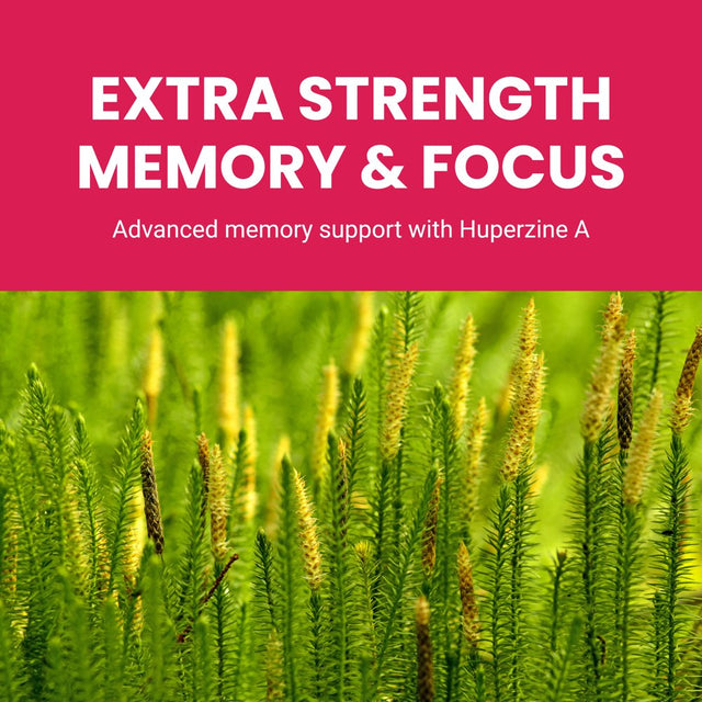 Life Seasons - Neuroq Memory & Focus Extra Strength - 1020 Mg per 2 Capsules