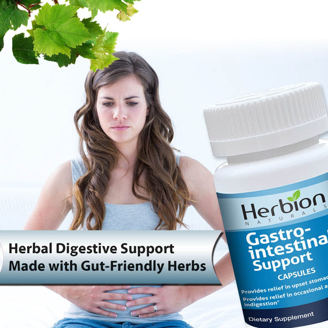 Herbion Naturals Gastro-Intestinal Support Herbal Blend for Upset Stomach Relief, Gastrointestinal Health and Function, Occasional Acid Indigestion, Healthy Intestinal Flora, 60 Vegicaps