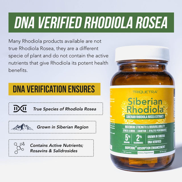 Siberian Rhodiola: Max Strength Rhodiola Rosea - 5% Rosavins, 2% Salidroside - Bioperine Absorption Enhancement, Grown in Siberia, DNA Verified - Reduce Stress, Enhance Energy & Cognition (60 Count)