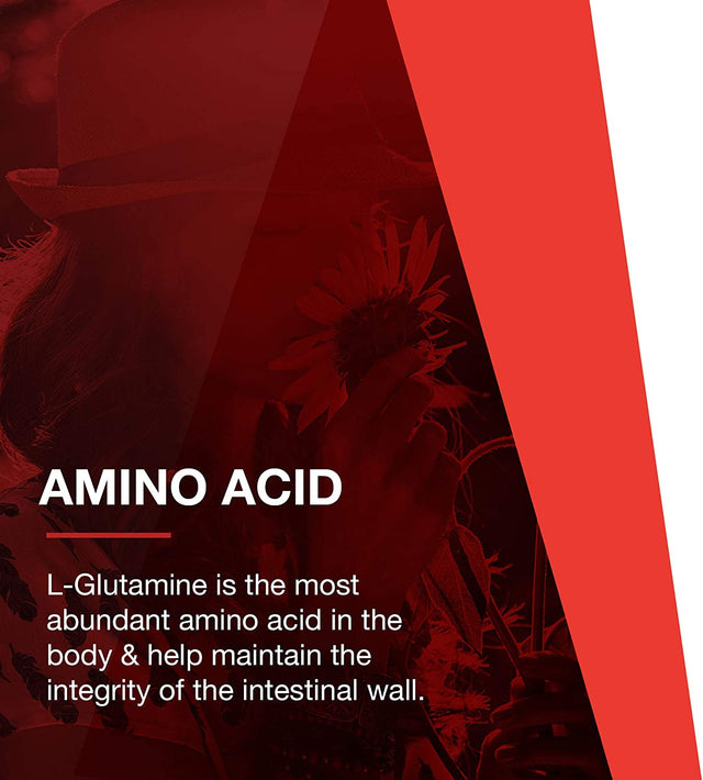 Protocol L-Glutamine 5G Powder - Immune Support, Nitrogen Balance, Gut & Brain Health - Amino Acids Supplement - L-Glutamine Powder - Kosher - 1 Lb - 91 Servings