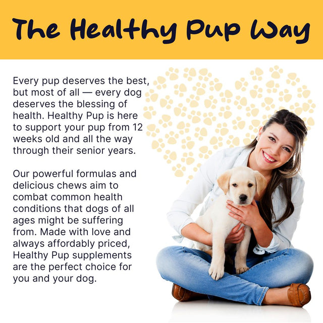 Healthy Pup Healthy Skin Dog Fish Oil Supplements - Omega 3 Rich Salmon Oil for Coat and Fur