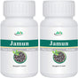 Jain'S Jamun Seed Powder - 100 GMS (2 Bottles) - Indian Ayurveda'S Pure Natural Herbal Supplement Powder