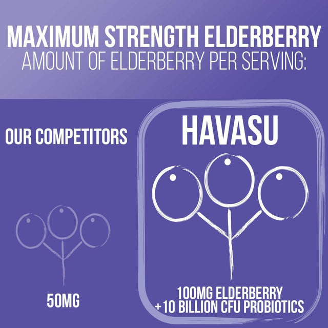 Havasu Nutrition Elderberry and Probiotics 10 Billion CFU; Approved Immune and Digestive Balance Probiotics for Women & Men; 60 Vegetarian Capsules with 4 Strains