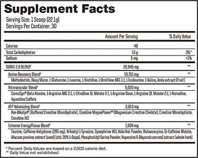 Advanced Nutrition Systems | SURGE 2.0 - Pre Workout Energy Powder; with Alkalyn, Creatine Magnapower, Carosyn Beta Alanine, Nitric Oxide| Pineapple, 663 G, 30 Servings