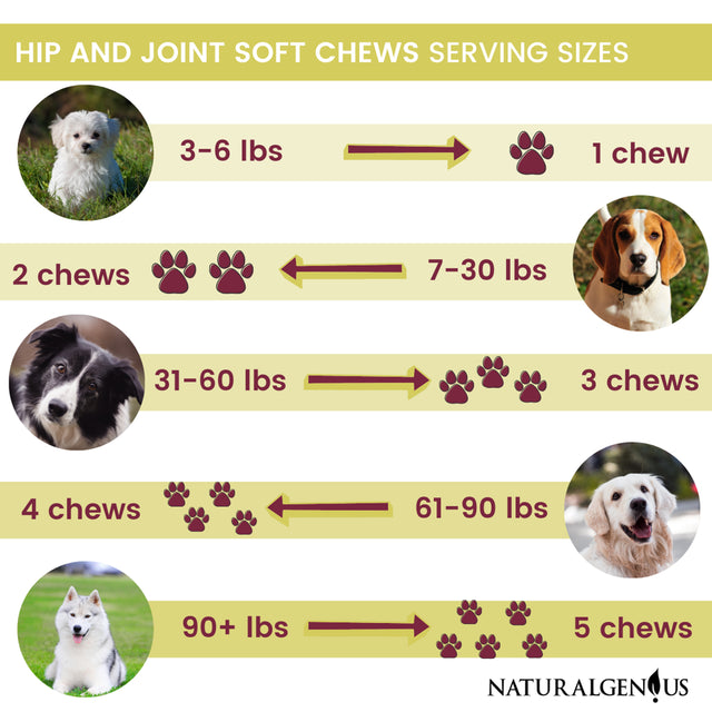 Glucosamine & Turmeric Hip and Joint Chews for Senior Dogs Pain Support 180 Superfood Treats