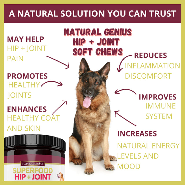 Glucosamine & Turmeric Hip and Joint Chews for Senior Dogs Pain Support 180 Superfood Treats