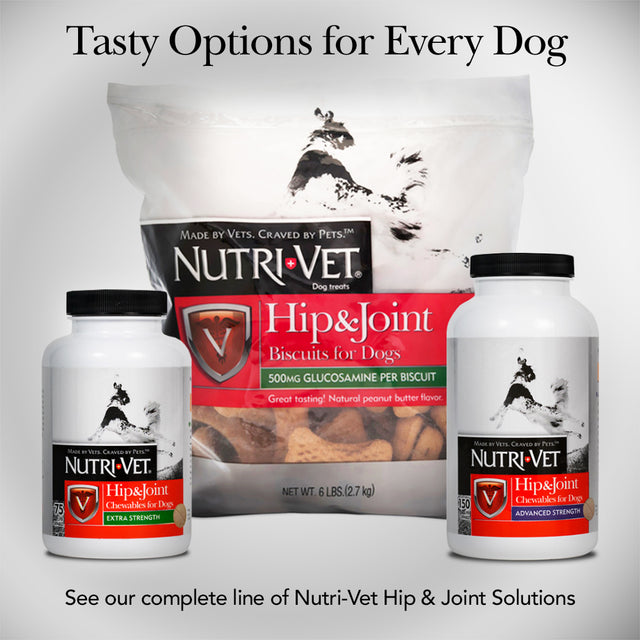 Nutri-Vet Hip and Joint Chewables for Dogs, Regular Strength, 120 Count