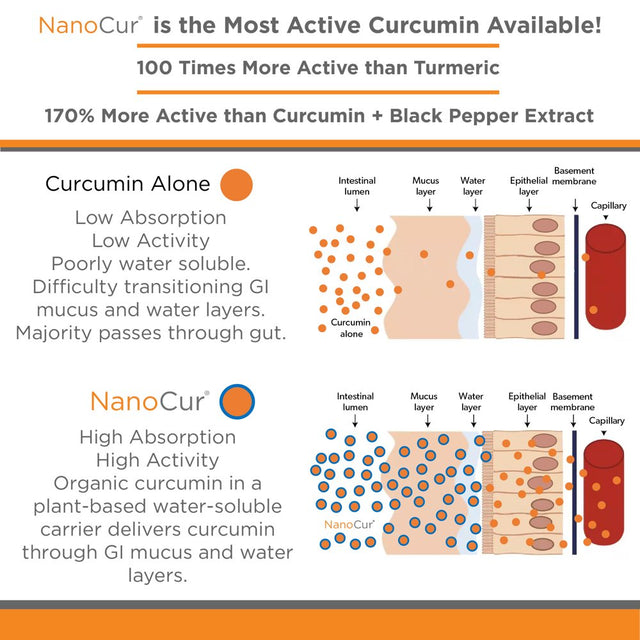 Nanocur Turmeric Curcumin - 90 Count - 100X More Active than Turmeric, 170% More Active than Curcumin + Black Pepper Extract. Joint Support, Relief, and Energy You’Ll Feel. Organic Curcumin