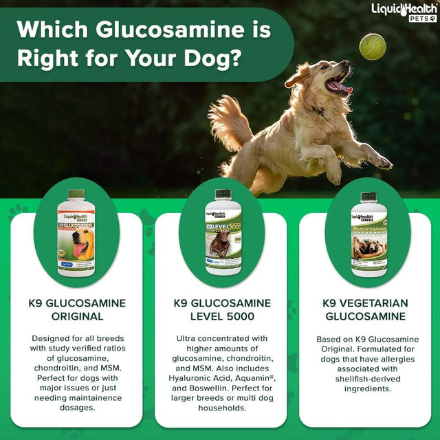 LIQUIDHEALTH K9 Glucosamine for Dogs Liquid Vitamin for Joint Health Support, 8 Fl. Oz 2-Pack