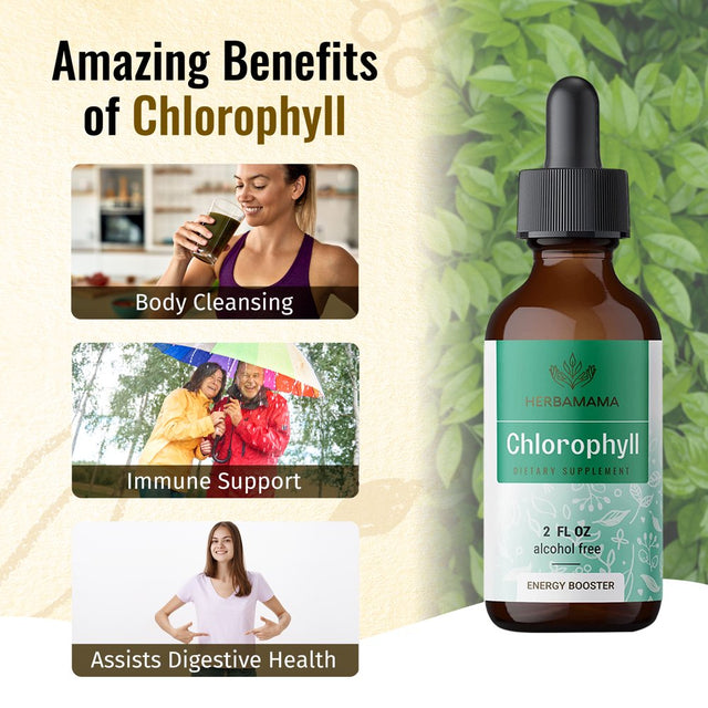 HERBAMAMA Chlorophyll Liquid Drops - Energy Booster, Digestion & Immune Support 2 Fl. Oz