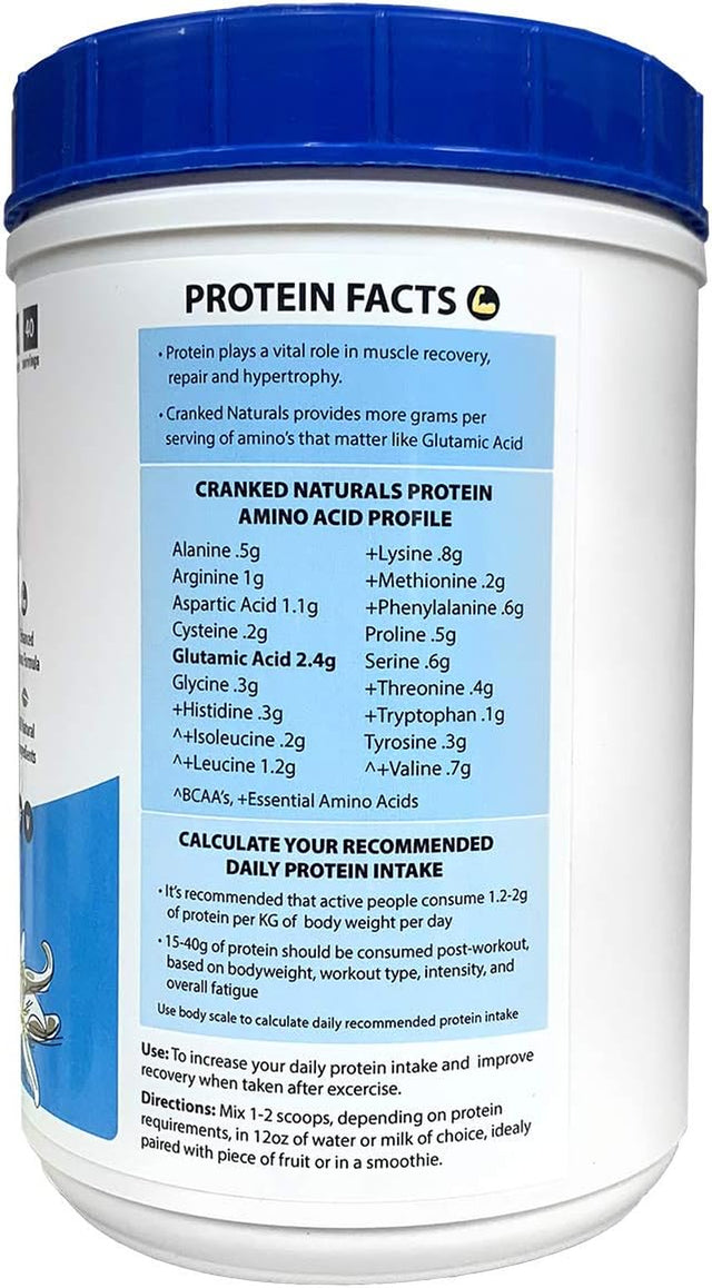 Vanilla Plant Protein Sport Recovery Drink Mix 1.6Lb, 40 Servings - Plant Based Protein and Amino Powder Blend for Muscle Recovery, Growth and Maintenance, Organic, Gluten Free, Vegan