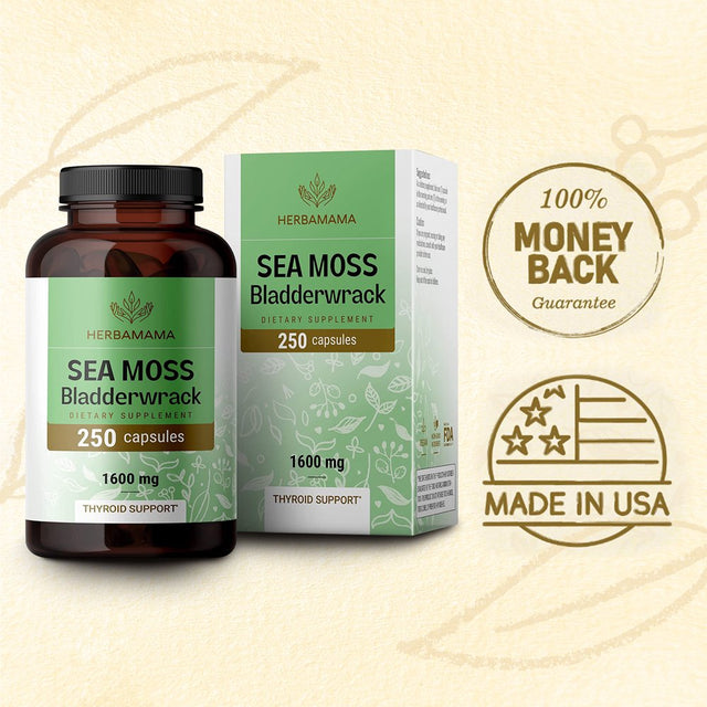 HERBAMAMA Sea Moss & Bladderwrack Capsules - Thyroid Support, Immune & Gut Health 250 Caps