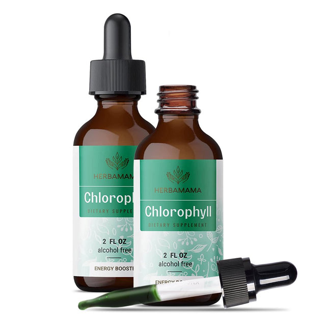 HERBAMAMA Chlorophyll Liquid Drops - Energy Booster, Digestion & Immune Support 2 Fl. Oz