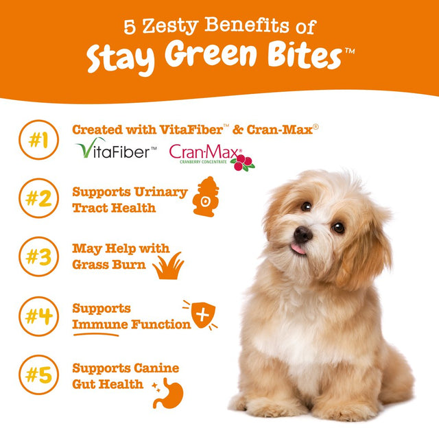 Zesty Paws Gut Health Stay Green Bites for Dogs, Urinary Care, Functional Digestive Health Dog Supplement, Chicken Flavor, 60 Count Soft Chews