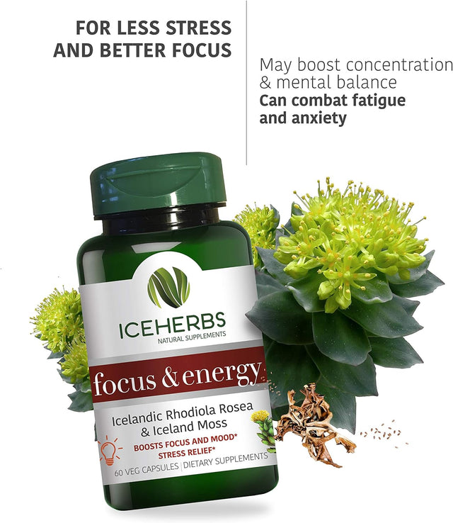 Focus & Energy – Pure Icelandic Rhodiola Rosea & Iceland Moss Supplement / 60 Vegan Capsules – Boosts Focus and Mood, Stress Relief – Improves Energy - Powerful & Natural Blend