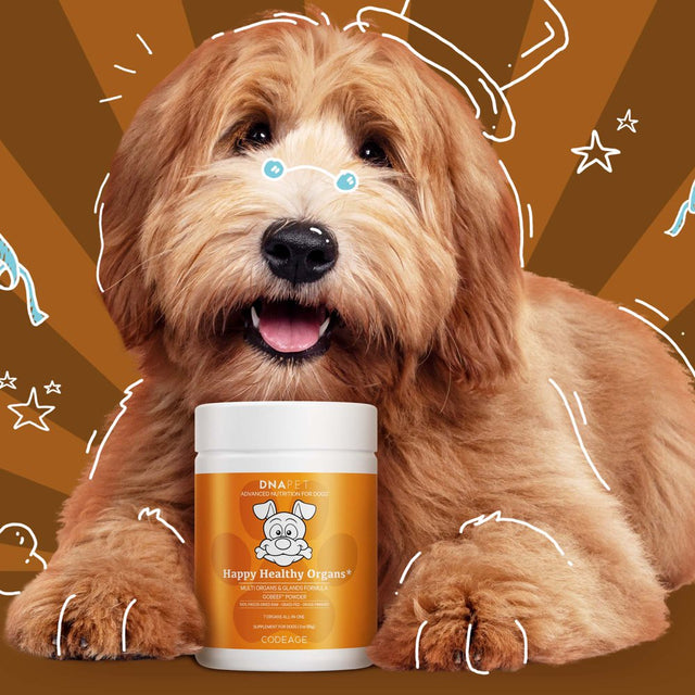 DNA PET Happy Healthy Organs & Glands Supplement for Dogs, Canine Multi Organ Beef Powder, 3 Oz