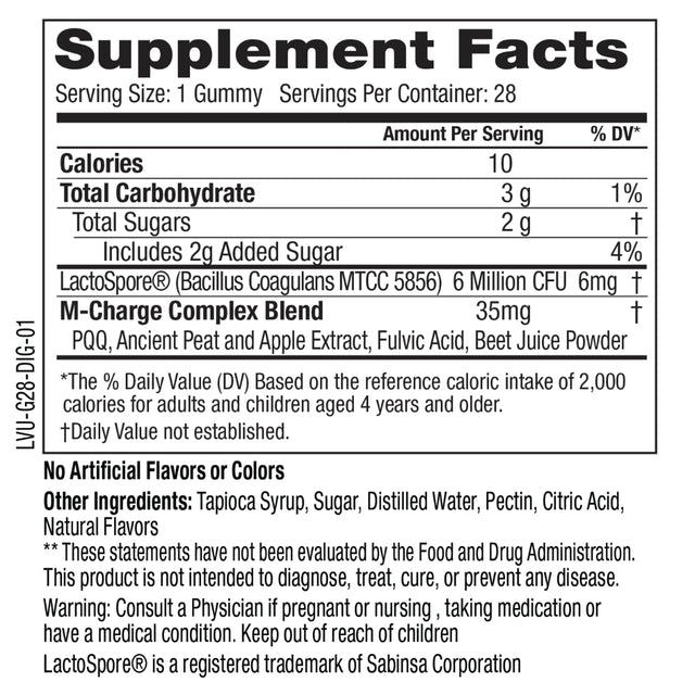 L'Evate You Vitality Boost Gummy - Dietary Supplement - Digestive Health - 28 Count