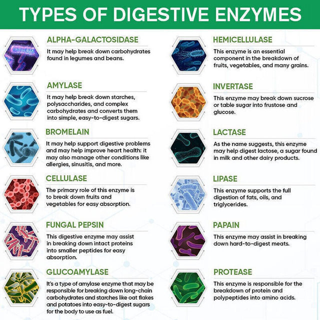 Digestive Enzymes 1200Mg Prebiotic & Probiotics Gas, Constipation & Bloating Relief - 60 Capsules