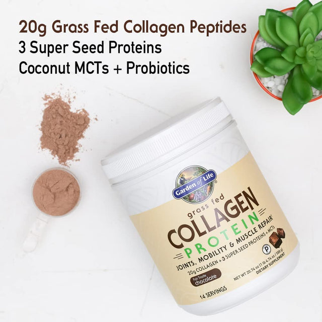 Garden of Life Grass Fed Collagen Protein Powder - Chocolate, 14 Servings, Collagen Powder for Joints Mobility Muscle Repair, Collagen Peptides Super Seeds Coconut Mcts, Keto Collagen Supplements