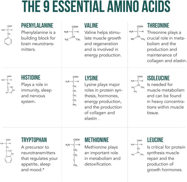 Plant Aminos Organic Essential Amino Acids (Eaas) & BCAA - 100% Plant-Based Raw, Vegan - All 9 Amino Acids with 18 Total Amino Acids (360 Tablets)