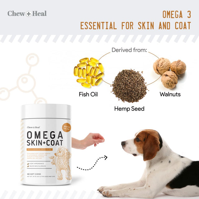 Chew + Heal Omega Skin and Coat Supplement - 180 Soft Chews - Salmon Fish Oil for Dogs and Cats