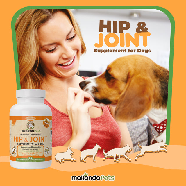 Joint Supplement for Dogs | 60 Turmeric for Dogs Chews plus Fish Oil, Glucosamine for Dogs Chondroitin, MSM + Vitamin C for Dogs | Dog Hip and Joint Supplement Dogs Mobility Support & Dog Pain Relief