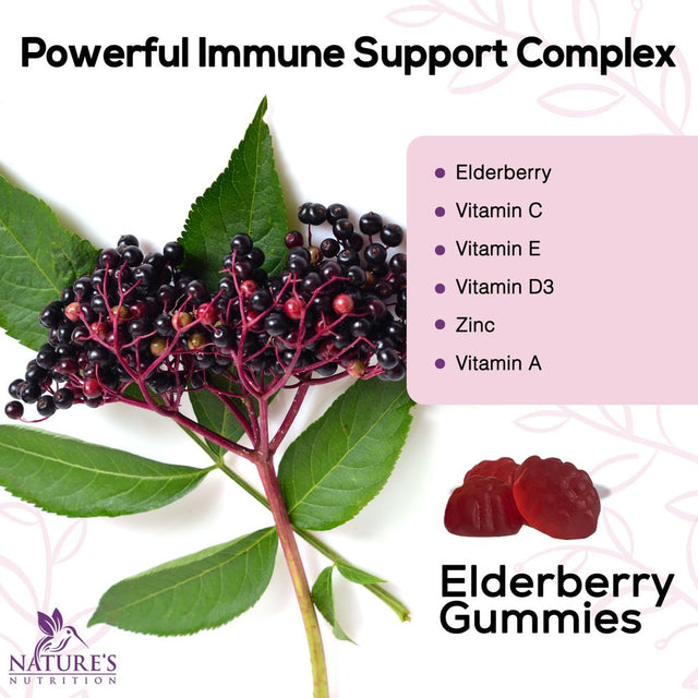 Premium Sambucus Elderberry Gummies with Vitamin C and Zinc, Immune Support Gummy Vitamin Supplement, Nature’S Black Elderberry for Adults & Kids - Elder Berry Vitamins, Non-Gmo - 120 Gummies