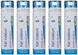 Boiron Kali Iodatum 6C (Pack of 5), Homeopathic Medicine for Colds