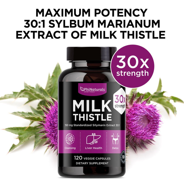 Milk Thistle Silymarin Supplement (Pack of 2) 30X Extract (Standardized 30:1) by Phi Naturals | 150 Mg per Capsule - 120 Capsules | Supports Liver Cleanse, Detox and More