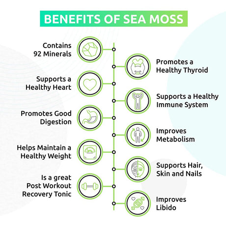 Trueseamoss Wildcrafted Irish Sea Moss Gel – Nutritious Raw Seamoss Rich in Minerals, Proteins & Vitamins – Antioxidant Health Supplement, Vegan-Friendly Made in USA (Banana, 2)