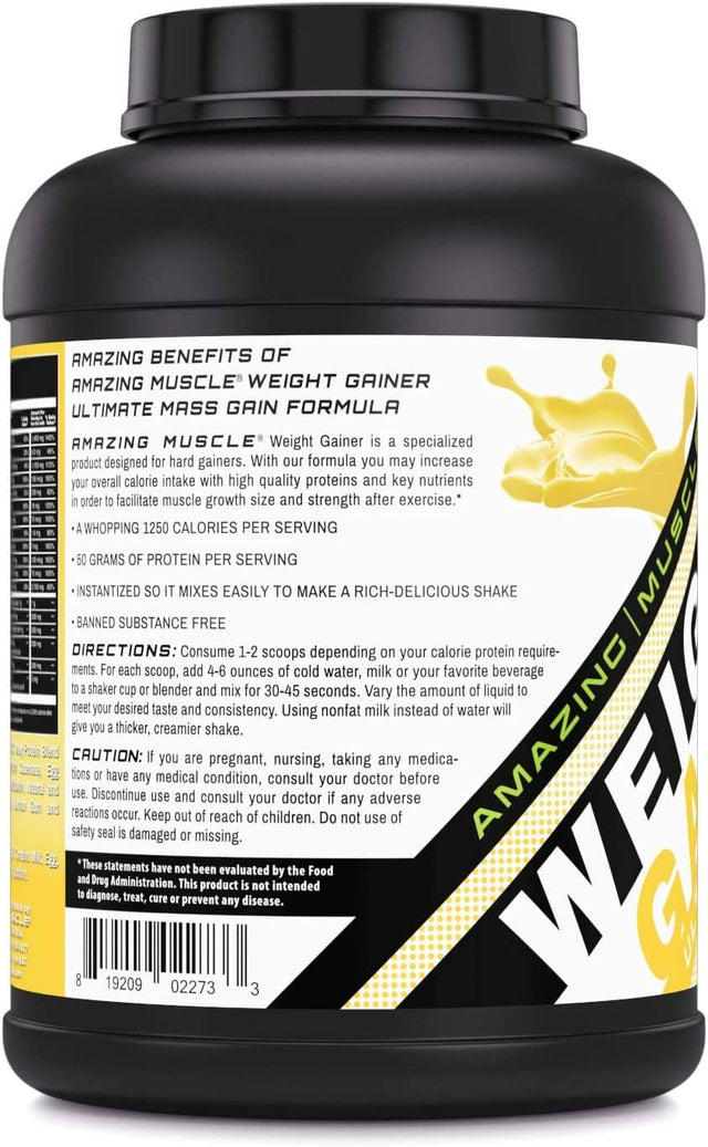 Whey Protein Gainer - 6 Lb - Supports Lean Muscle Growth & Workout Recovery (Banana)