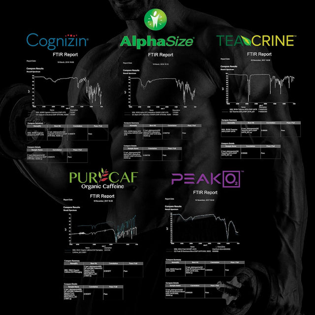 Energy + Focus, Energy Boost & Memory Enhancer with Acetyl L Carnitine Powder, L-Tyrosine, Peak02, Alphasize, Cognizin, Purcaf, and Theacrine, Mango - 20 Servings