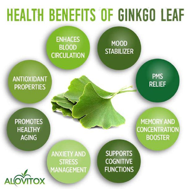 Alovitox Ginkgo Biloba Organic Leaf Powder | Supports Aging, Memory, Focus, Mood Stability, Concentration – Pure 100% Natural, Vegan, Non GMO & USDA Certified 8 Oz