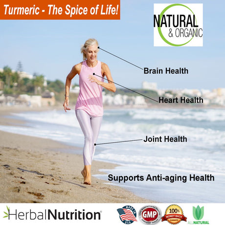 INFUSE Liposomal Liquid Turmeric Curcumin 2 Bottle Pack Superior Uptake, 95% Curcumin, High Potency, with Fulvic Acid, MFD USA Ships Free