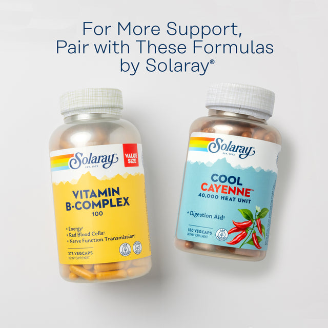 Solaray Horse Chestnut Seed Extract 400Mg, Healthy Leg Vein, Blood Vessel & Circulation Support, 120 Serv, 120 Vegcaps