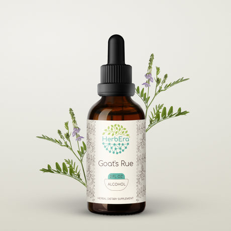 Goat'S Rue Alcohol Herbal Extract Tincture, Super-Concentrated Organic Goat'S Rue (Galega Officinalis) Dried Herb 2 Oz