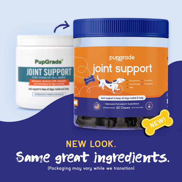 Pupgrade Joint Support Supplement for Dogs - Natural Glucosamine Chondroitin & MSM Soft Chews for Hip and Joint Pain Relief - Recommended for Hip Dysplasia, Arthritis & Joint Disease