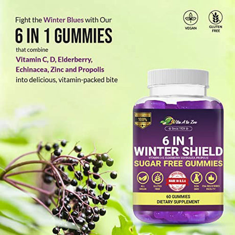 Vita a to Zee 6 in 1 Winter Shield Sugar-Free Gummies | Vitamin C + D, Zinc, Elderberry, Echinacea, Propolis | Support Immunity, Digestive & Respiratory System | Gluten Free, GMO Free, 60 Gummies