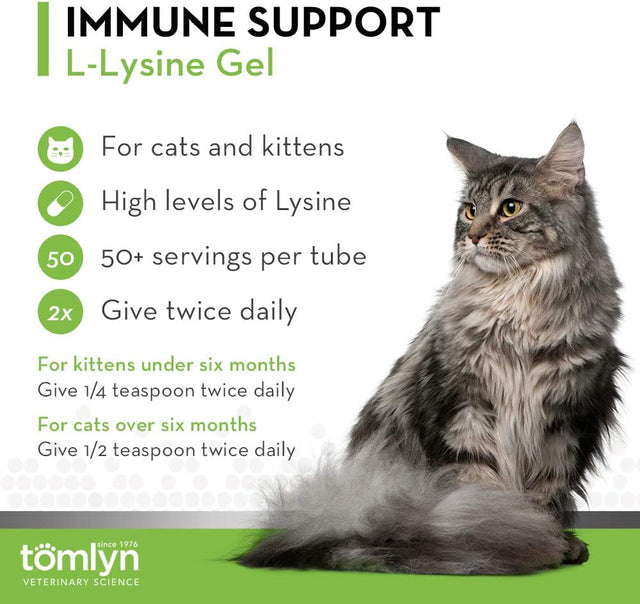 Tomlyn Immune Support Daily L-Lysine Supplement, Maple-Flavored Lysine Gel for Cats and Kittens, 3.5Oz