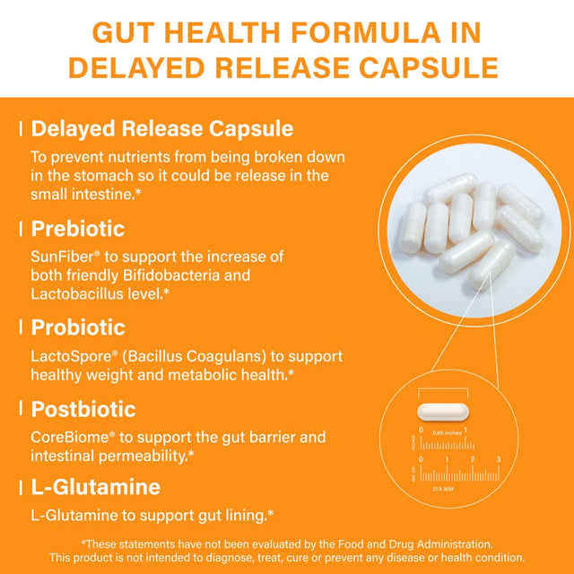 Sandhu'S Gut Health Supplement, with Prebiotics + Probiotics + Postbiotic + L-Glutamine, 120 Ct