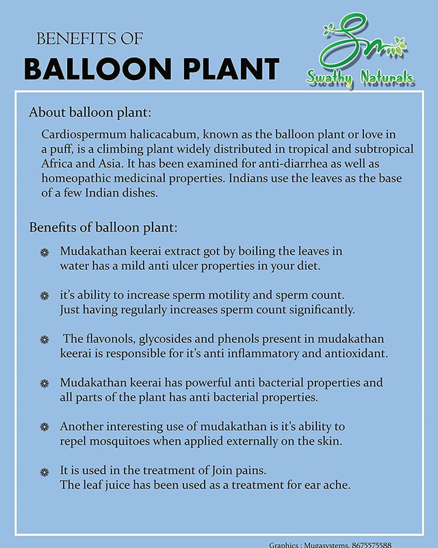 SWATHY Naturals : Mudakathan Powder 100G/முடக்கத்தான்/Balloon Plant/Cardiospermum Halicacabum/Mudakathan